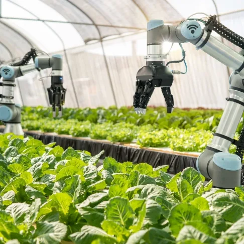 Foodtech Revolution Overview